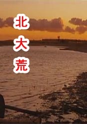 不知火舞和3孩公园h